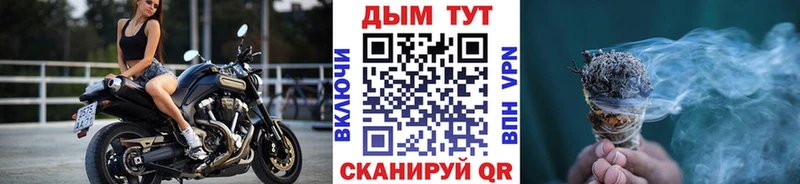 где найти наркотики  Гвардейск  нарко площадка какой сайт  Бошки Шишки VHQ 